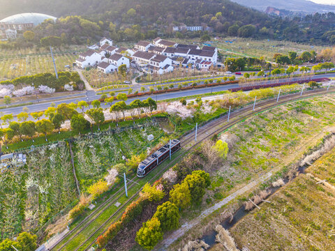 树山村