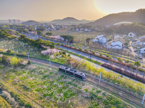 树山村