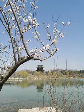 悦容公园