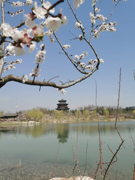 悦容公园