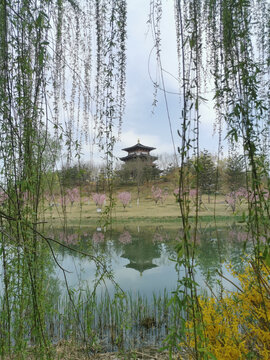 悦容公园