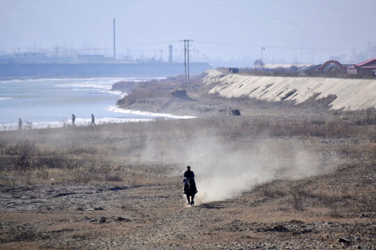 洮河跃马