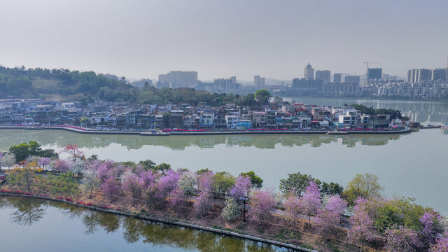 肇庆七星岩风光
