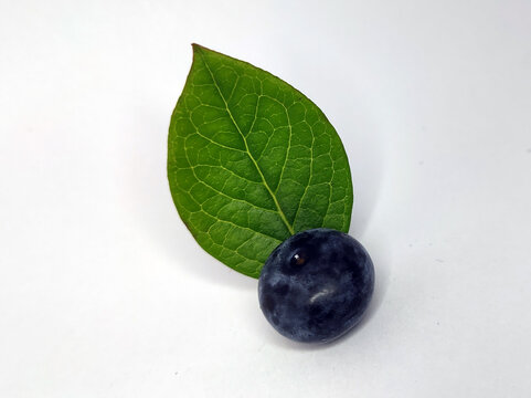 蓝莓