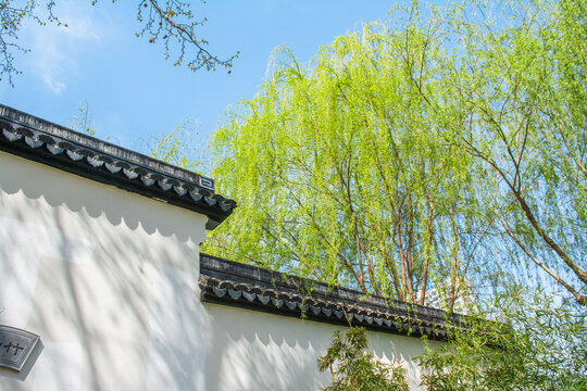 青瓦白墙建筑