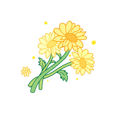 黄色菊花插画