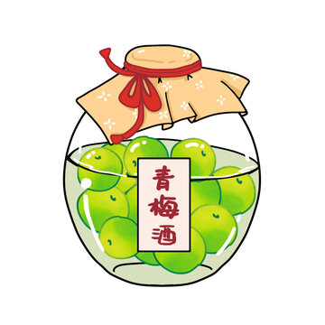一瓶青梅酒插画