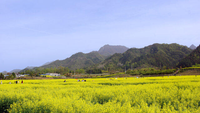 蒋家堰敖家坝春天