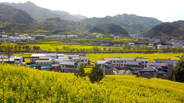 敖家坝风光