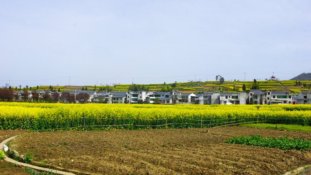 蒋家堰敖家坝田地