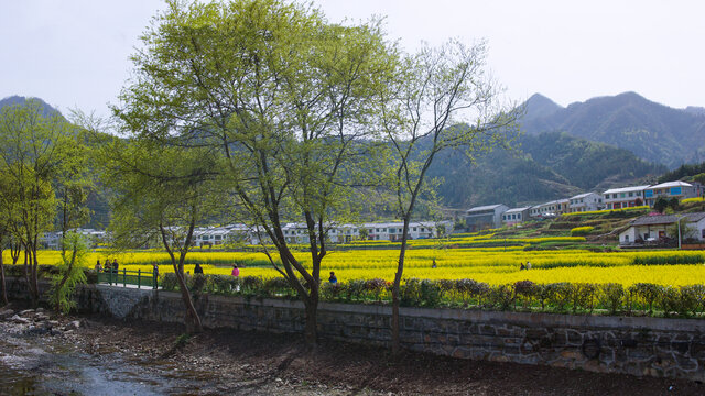 蒋家堰敖家坝