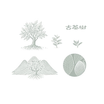 古茶树山水茶园