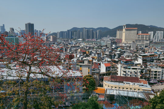 澳门大炮台