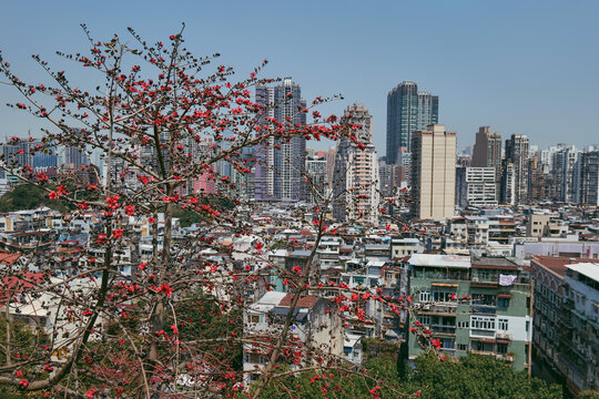 澳门大炮台