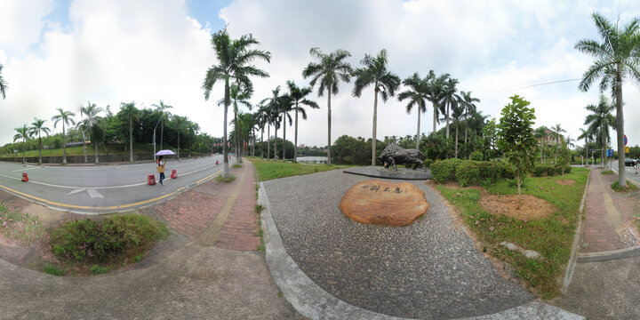 华南农业大学力耕不息耕铜牛雕塑全景