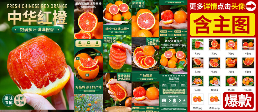 中华红橙详情