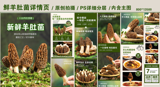 羊肚菌详情页