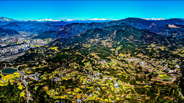 春满荥经油菜花开满山野