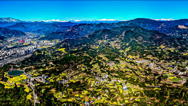 春满荥经油菜花开满山野
