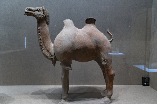 骆驼陶器