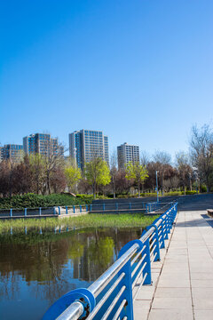 公园景观湖面