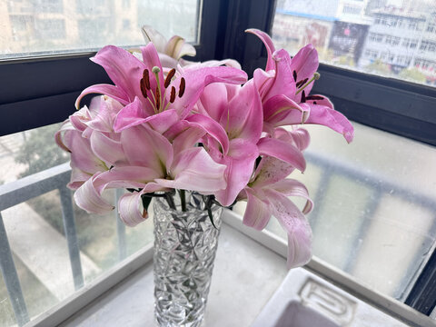百合花