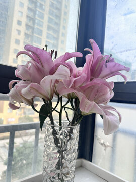 百合花