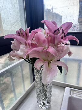 百合花