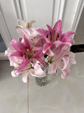 百合花