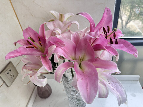 百合花