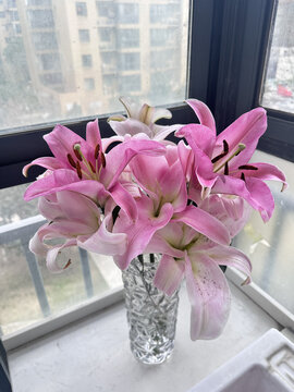 百合花