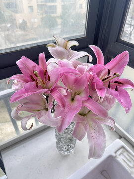 百合花