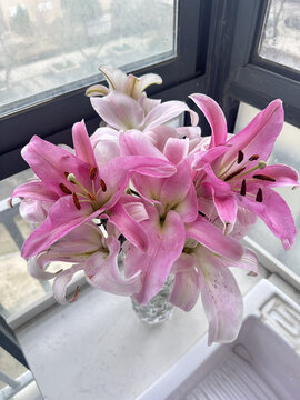 百合花开