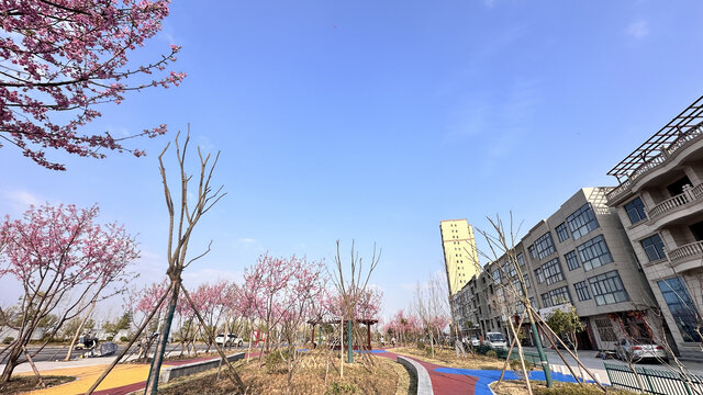 户外
