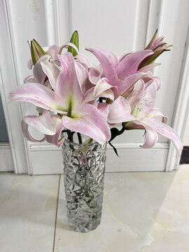 百合花