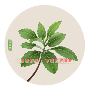 片仔癀