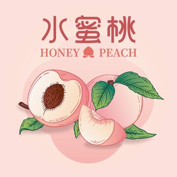 水蜜桃包装插画