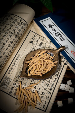 麦冬