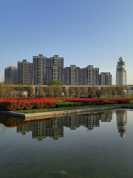 公园城市倒影