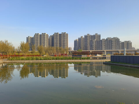 公园城市倒影
