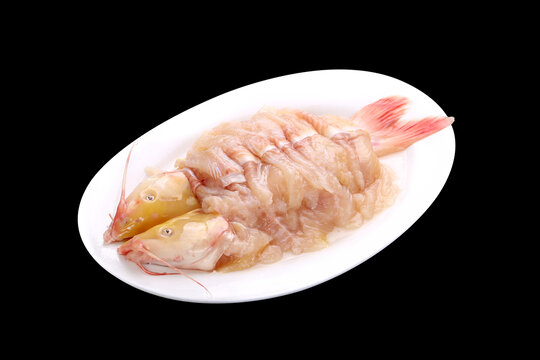 鮰鱼
