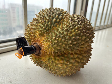 榴莲