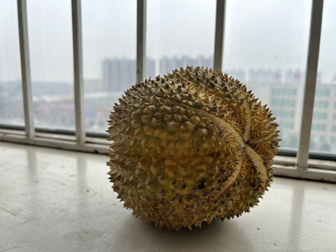 榴莲
