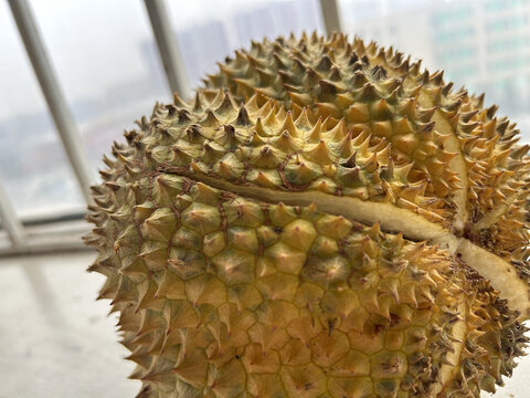 榴莲