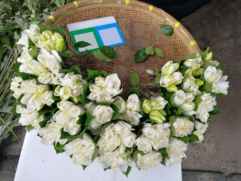 栀子花
