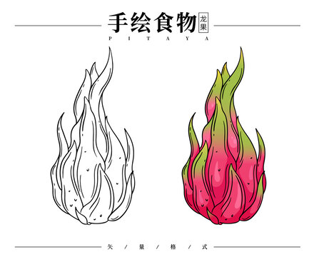 手绘火龙果插画