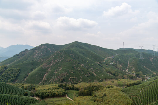 青山