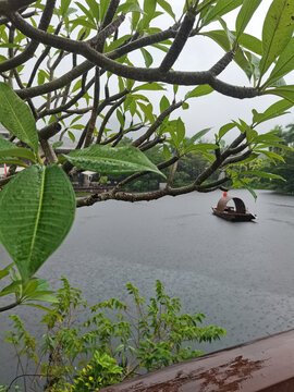 雨中