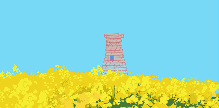 韩国庆州瞻星台油菜花
