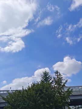 蓝天